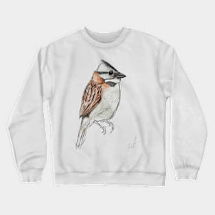 Bird sketch Crewneck Sweatshirt